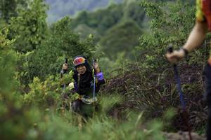 BIB: 
                            <button type="button" onclick="openModal(24764959)" class="btn btn-primary btn-sm float-right btn-popup" data-toggle="modal" data-target=".modal-high-quality">
                        <i class="fas fa-shopping-cart"></i> Add to Cart
                    </button>
                                            <button type="button" onclick="isThisMe(24764959, true)" class="btn btn-success btn-sm float-right btn-popup btn-isme hidden" data-toggle="tooltip" data-placement="bottom" title="นี่คือรูปของคุณใช่ไหม คลิกที่นี่เพื่อเอาเข้าอัลบั้ม">
                        <i class="fas fa-plus"></i> Add to album
                    </button>
                    <button type="button" onclick="isThisMe(24764959, false)" class="btn btn-warning btn-sm float-right btn-popup btn-isnotme hidden">
                        <i class="fas fa-ban"></i> Remove from album
                    </button>